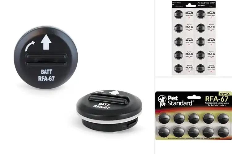 Detailed view of Best Replacement Batteries for Dogs