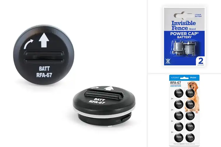 Detailed view of Best Replacement Collar Batteries