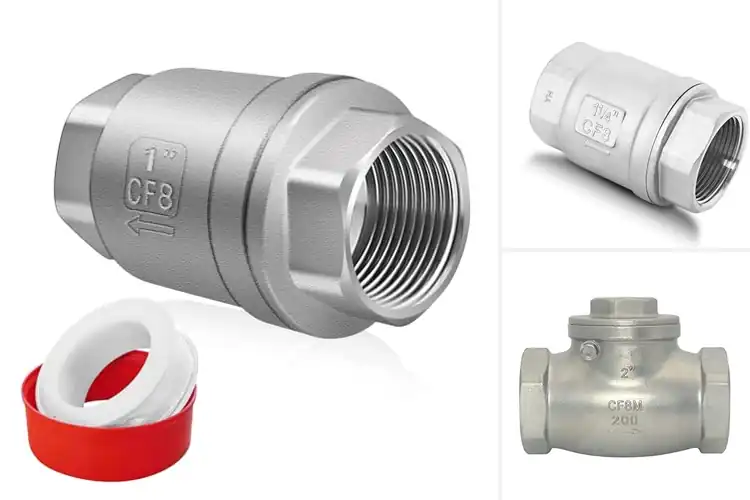Detailed view of Best Stainless Steel Check Valves