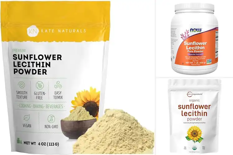Detailed view of Best Sunflower Lecithin Powders for Superior Results