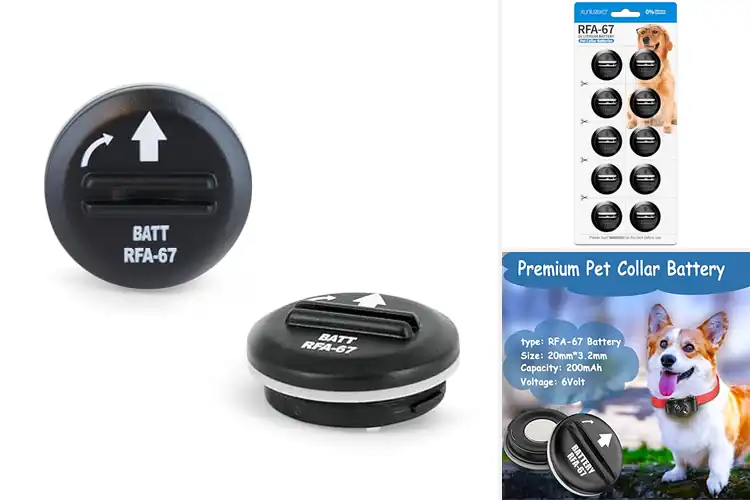 Detailed view of Best Training Collar Batteries