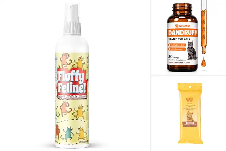 Detailed view of Best Unscented Cat Dandruff Treatments