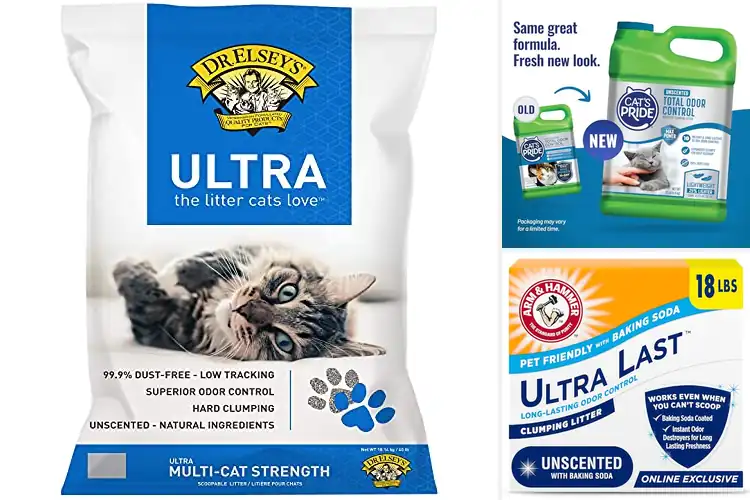 Detailed view of Best Unscented Cat Products