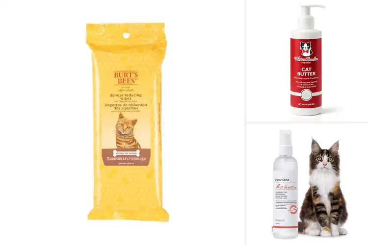 Detailed view of Best Unscented Cat Treatments for Healthy Skin & Soft Fur