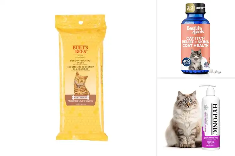 Detailed view of Best Unscented Dandruff Solutions For Cats