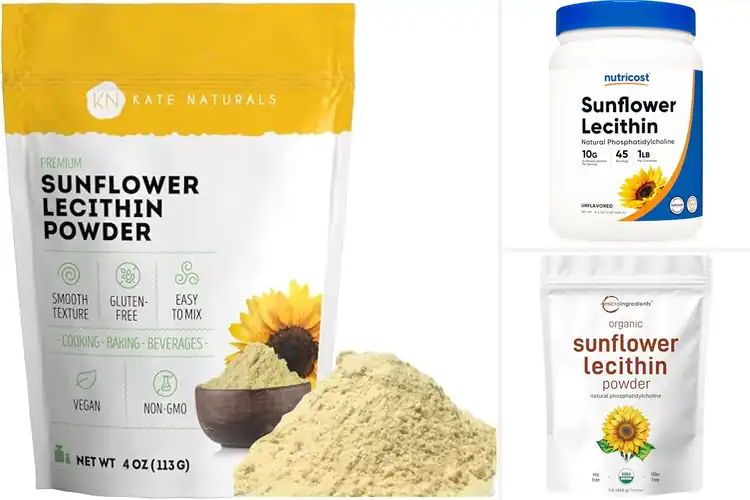 Detailed view of Best Vegan Lecithin Powders