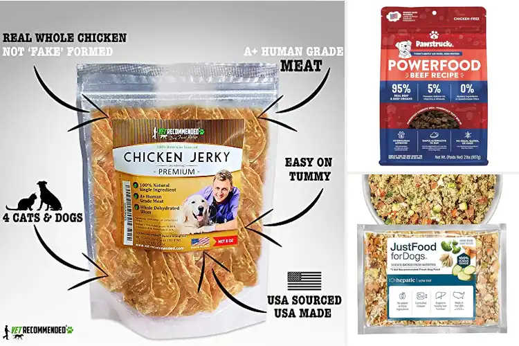 Detailed view of Best Vet Recommended Foods: Top 10 Picks for a Healthy Pet