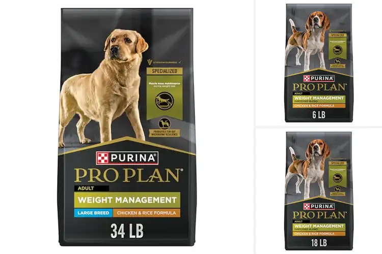 Detailed view of Best Weight Management Foods: Top Picks for Humans & Pets